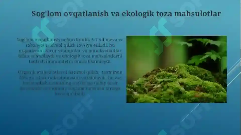 Product slide 6