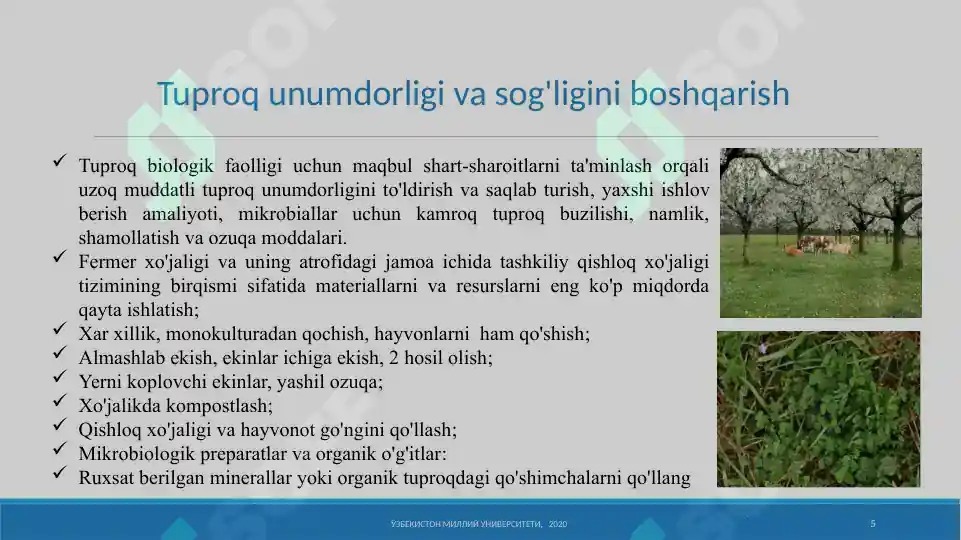 Product slide 5