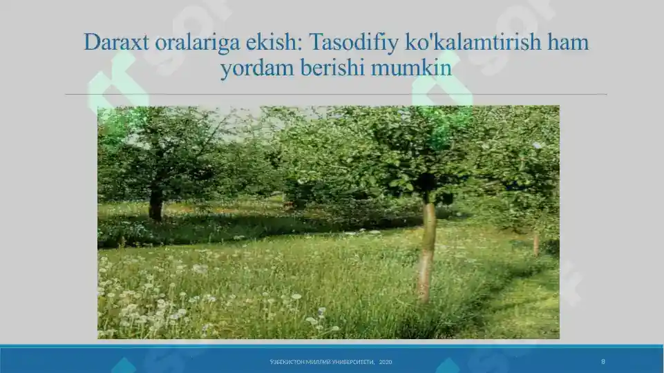 Product slide 8