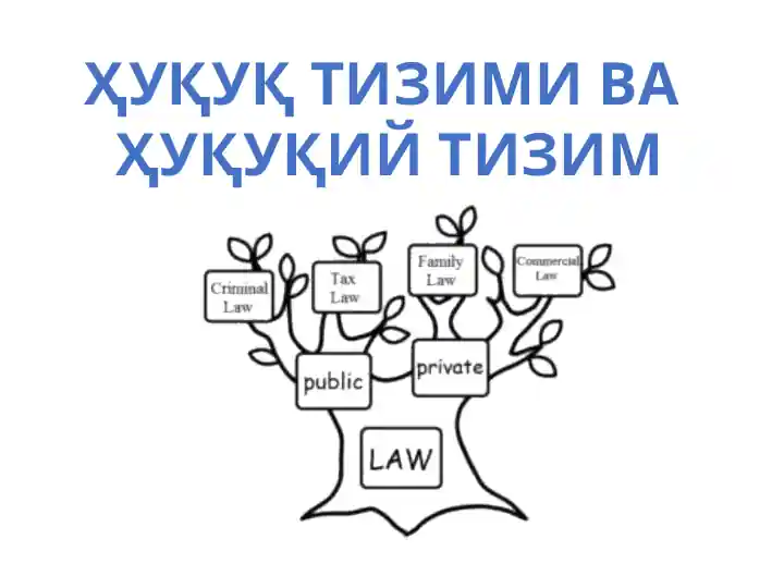 Huquq tizimi va huquqiy tizim