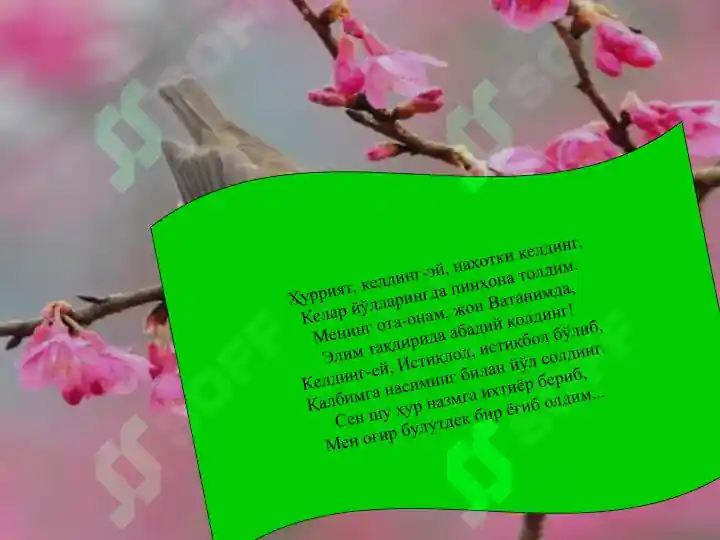 Product slide 5