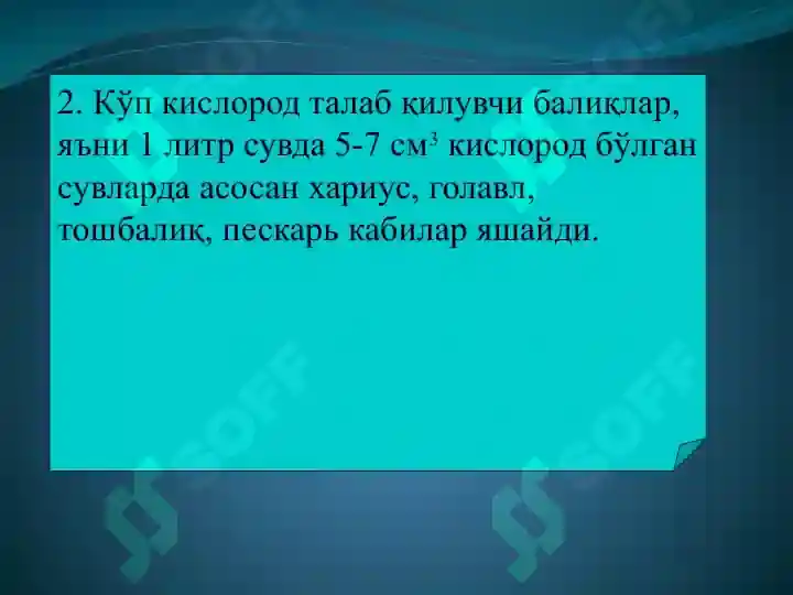 Product slide 8
