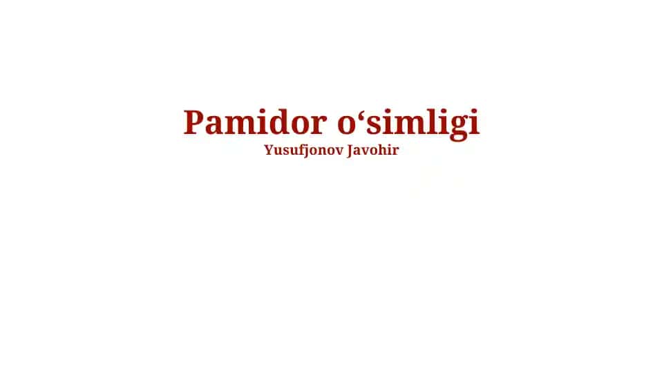 Pomidor oʻsimligi
