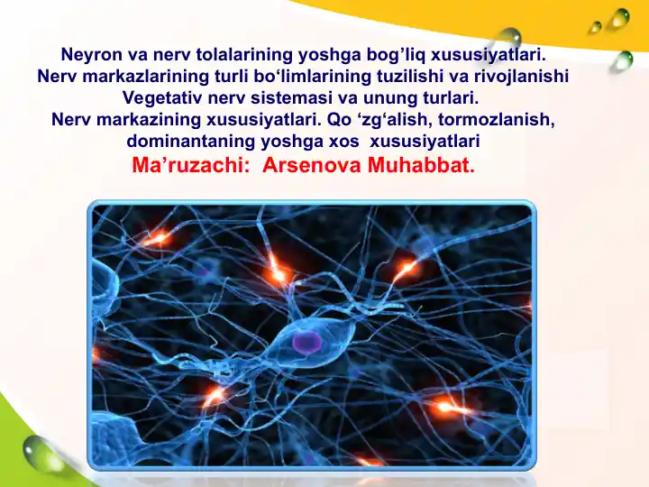 Neyron va nerv tolalarining yoshga bog’liq xususiyatlari