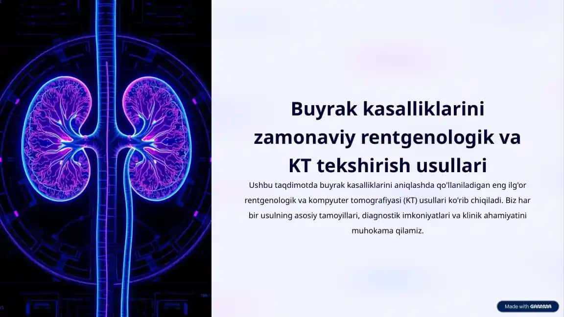 Buyrak kasalliklarini zamonaviy rentgenologik va KT tekshirish usullari