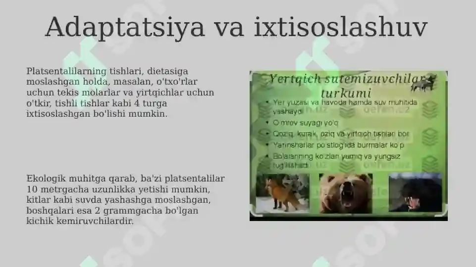 Product slide 8