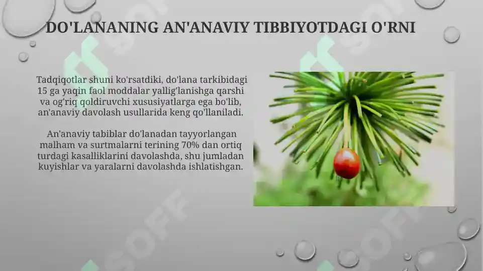 Product slide 8