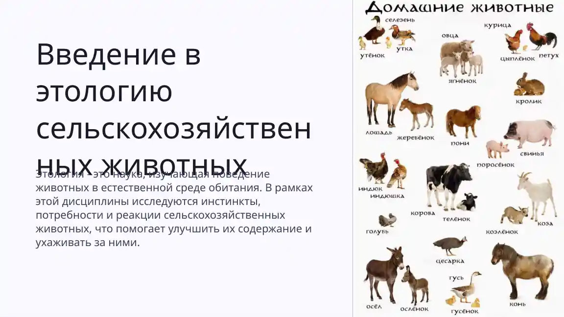 Введение в этологию сельскохозяйственных животных