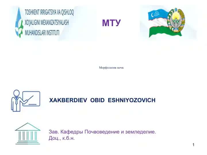Морфология почв