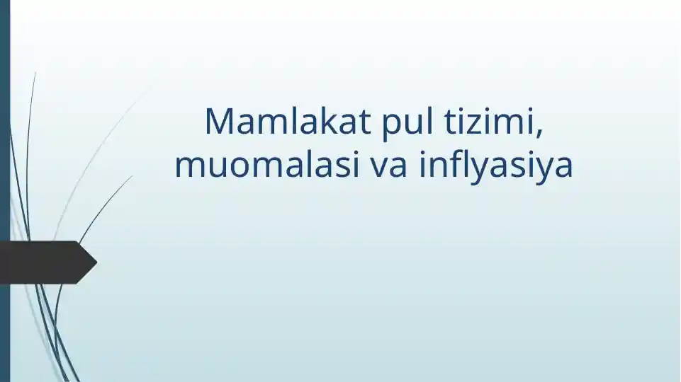 Mamlakat pul tizimi, muomalasi va inflyasiya