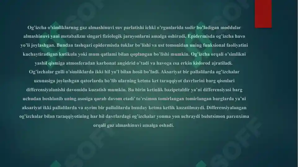 Product slide 5