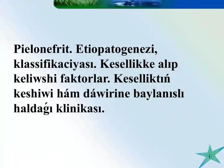Pielonefrit