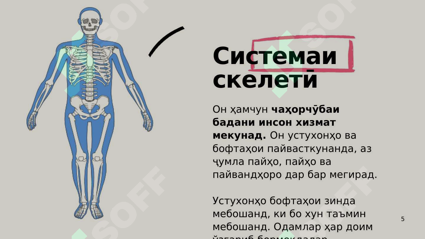 Product slide 5