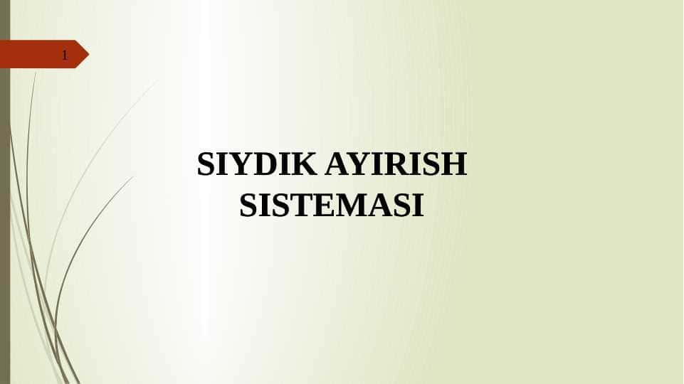 SIYDIK AYIRISH SISTEMASI