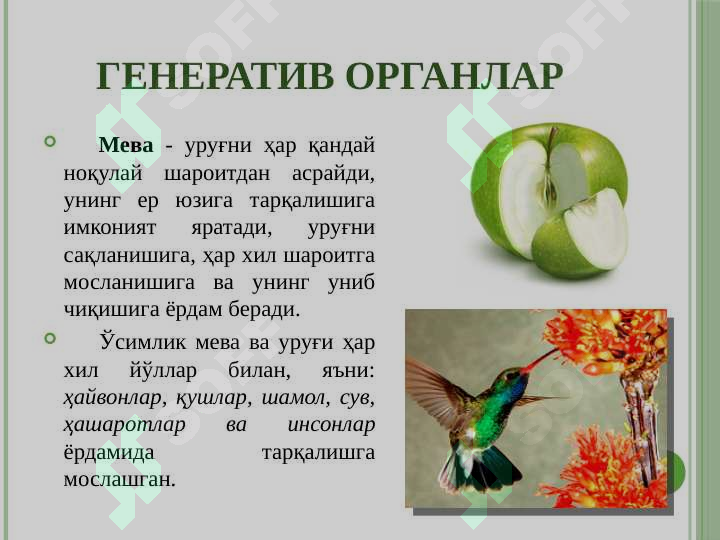Product slide 5