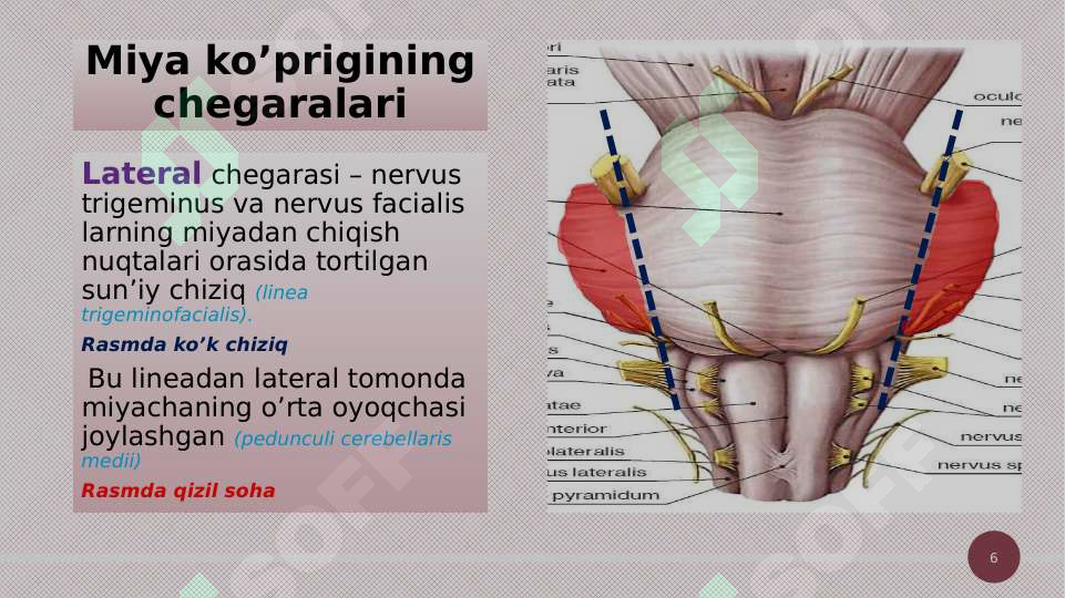 Product slide 6