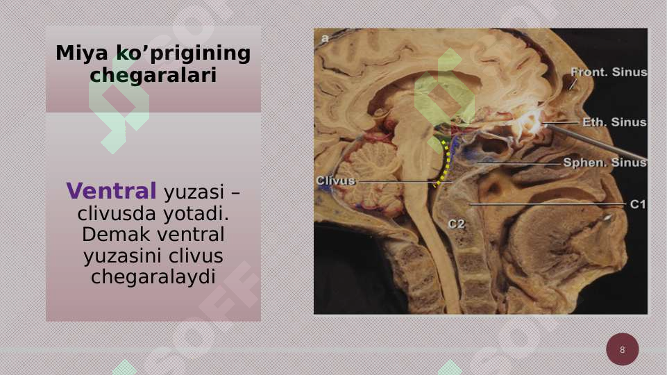 Product slide 8