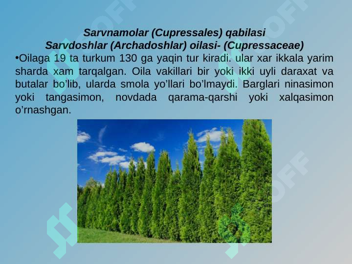 Product slide 7