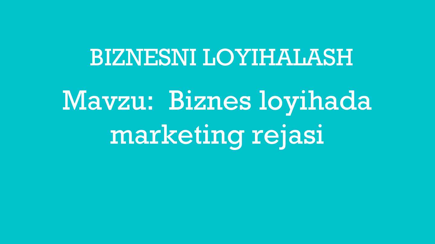 Biznes loyihada marketing rejasi.