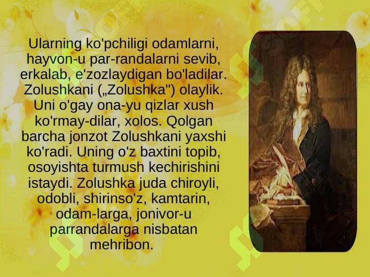 Product slide 7