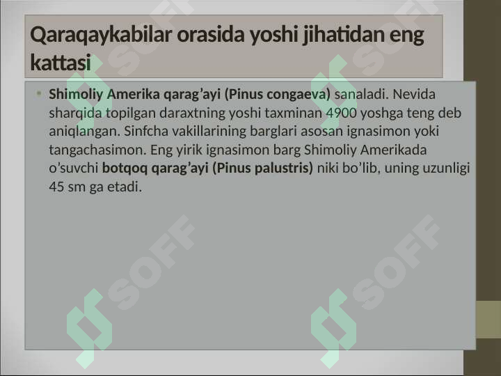 Product slide 6