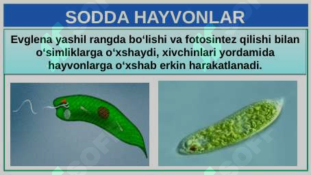 Product slide 6