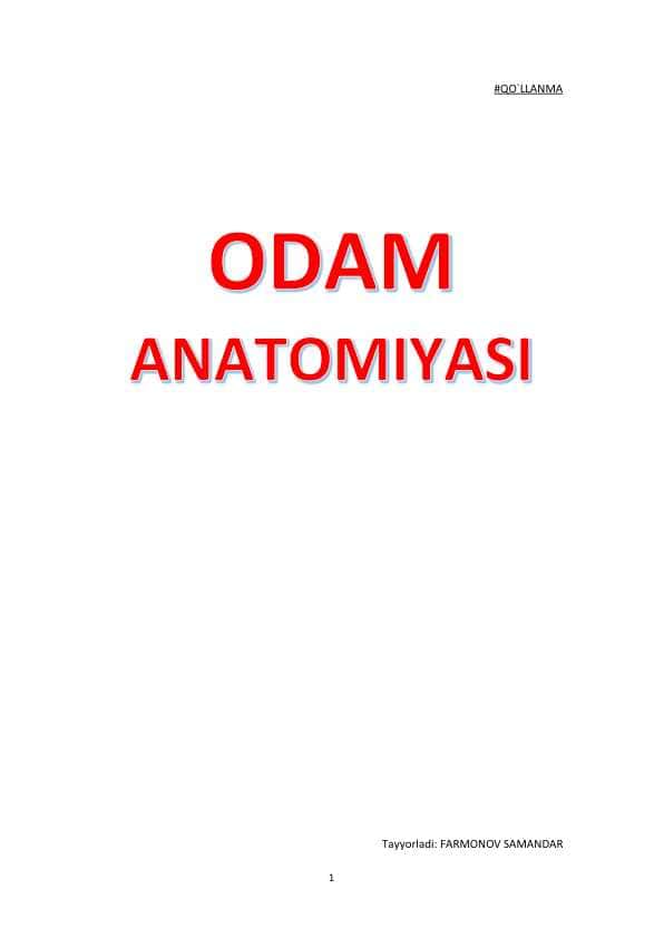 Anatomiya qo'llanma tushunarli osonlashtirilgan varianti