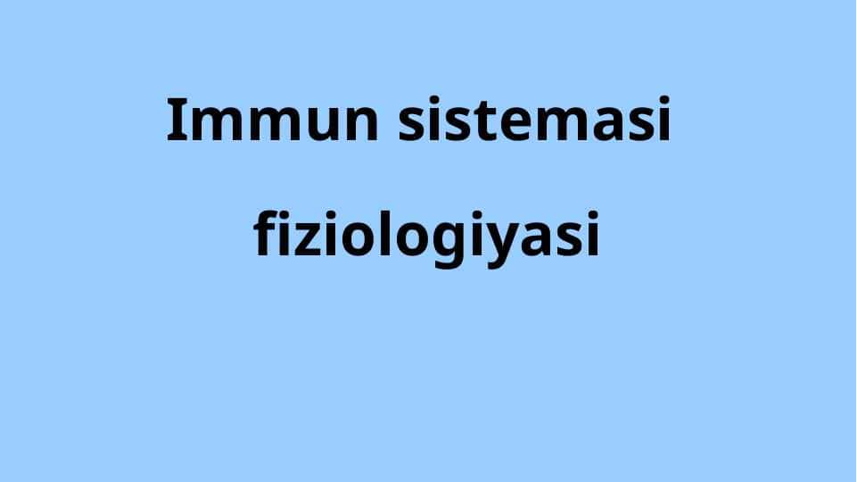 Immun sistemasi fiziologiyasi