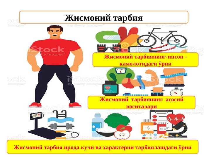 Жисмоний тарбия