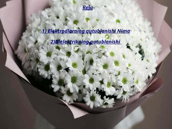 qutblanish