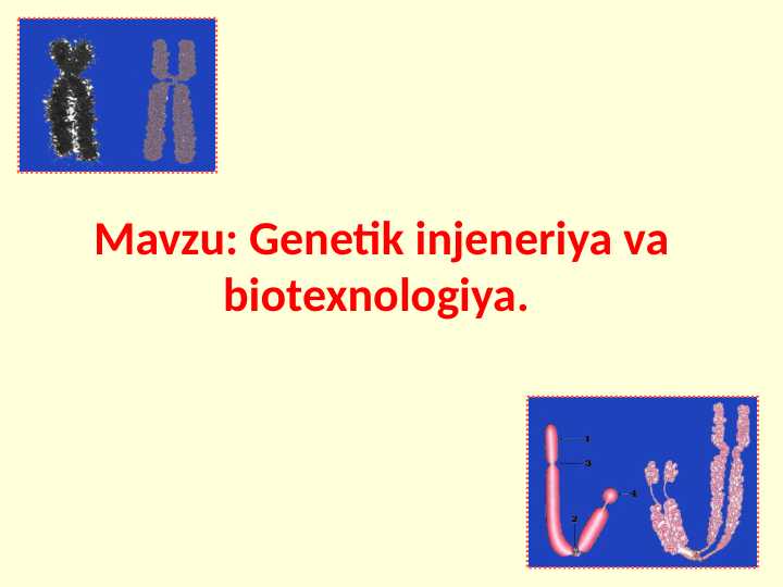 Gen muhandisligi asoslari