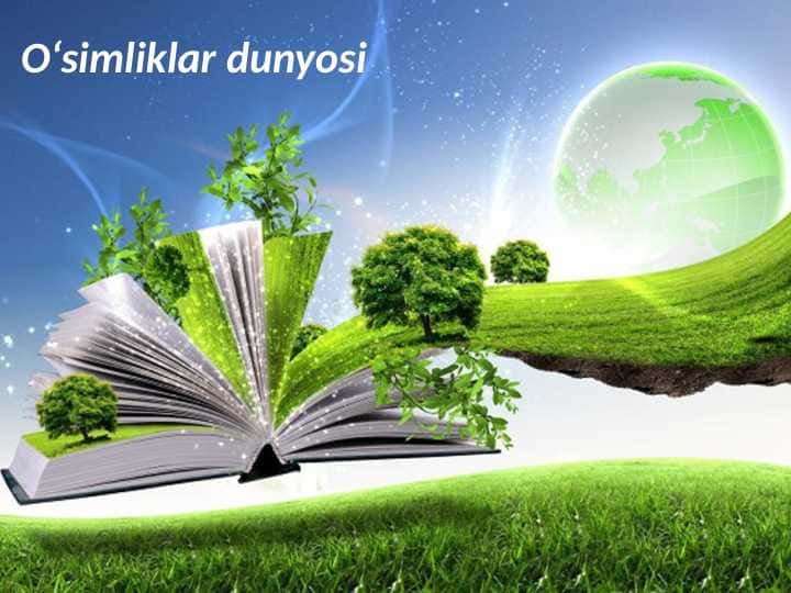 O‘simliklar dunyosi.