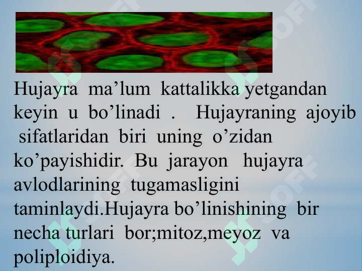 Product slide 7