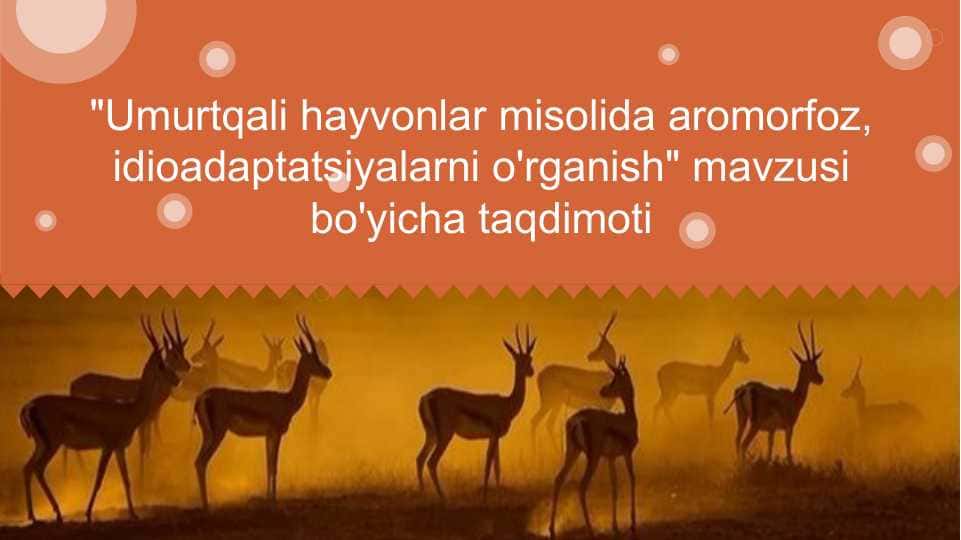 Umurtqali hayvonlar misolida aromorfoz, idioadaptatsiyalarni o'rganish