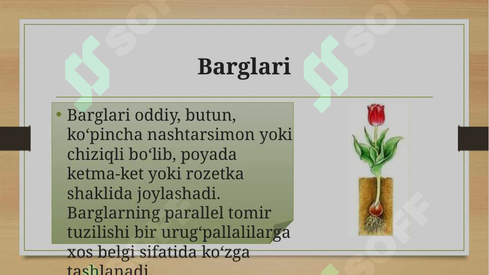 Product slide 6
