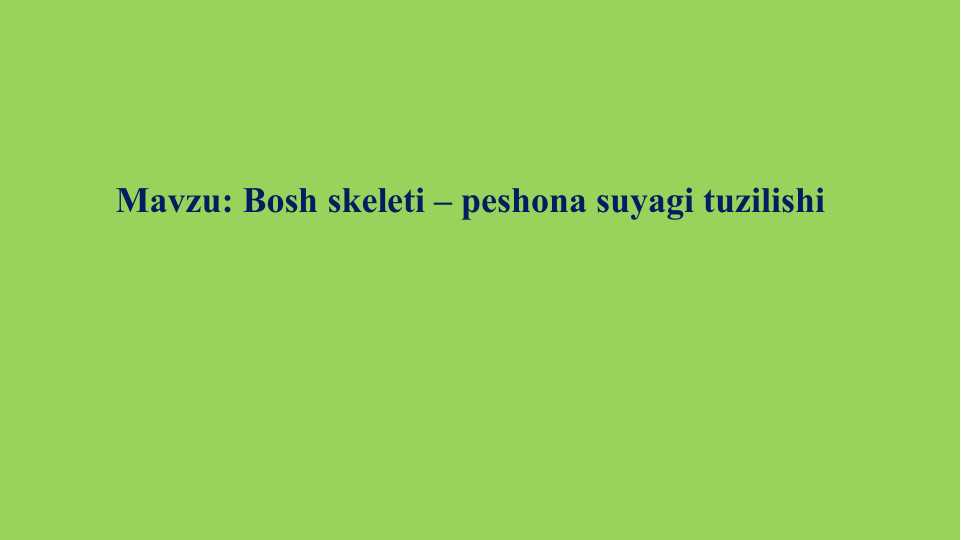 Bosh skeleti – peshona suyagi tuzilishi