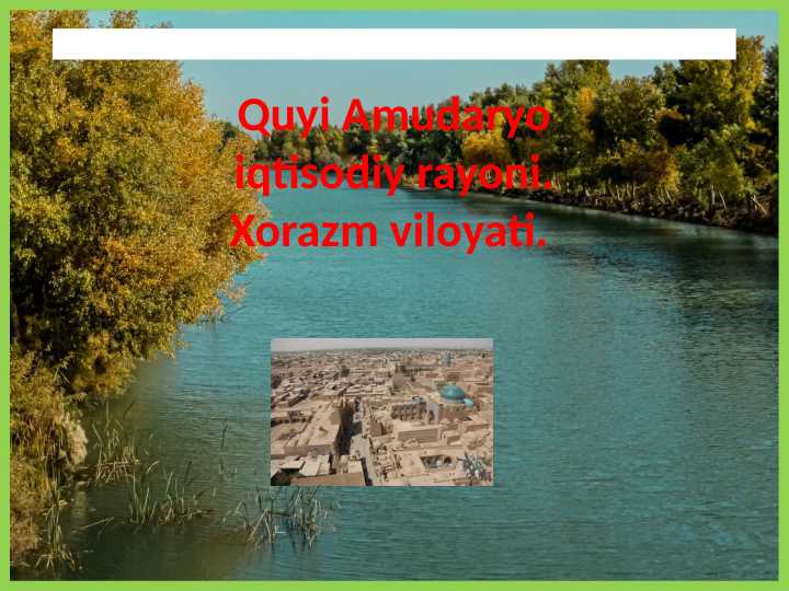 Quyi Amudaryo iqtisodiy rayoni. Xorazm viloyati