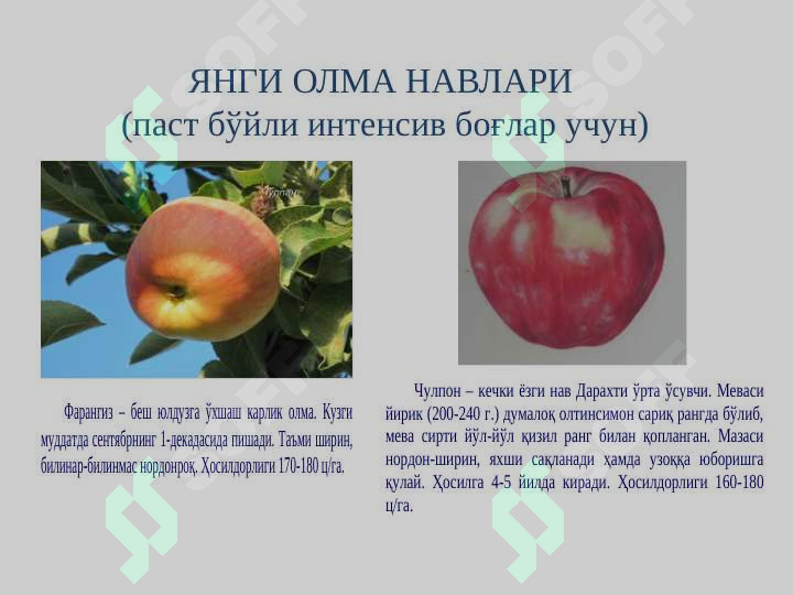 Product slide 5