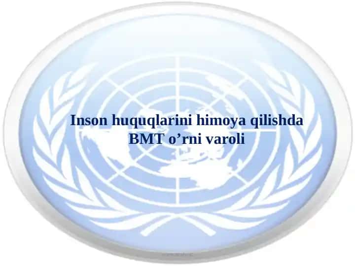 Inson huquqlarini himoya qilishda BMTning o’rni va roli