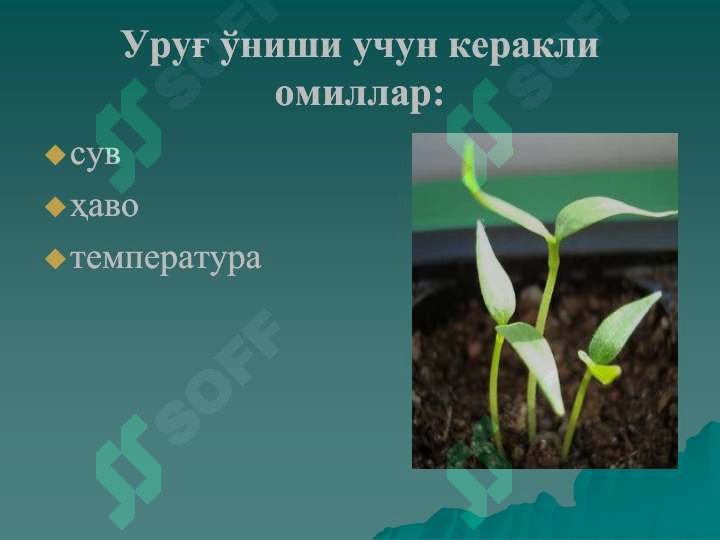 Product slide 6