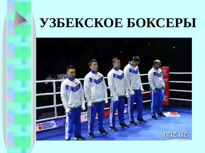 УЗБЕКСКОЕ БОКСЕРЫ