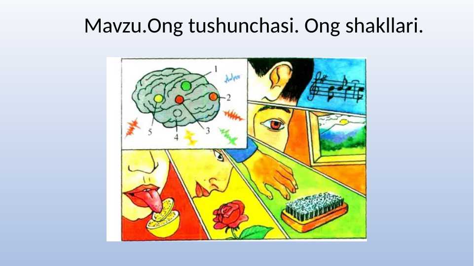 Ong tushunchasi. Ong shakllari.