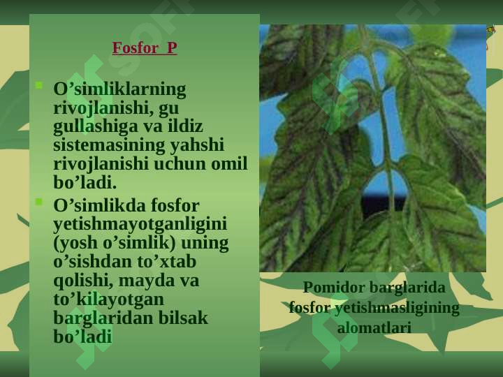 Product slide 6