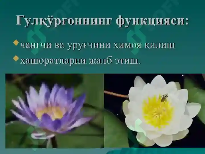 Product slide 8