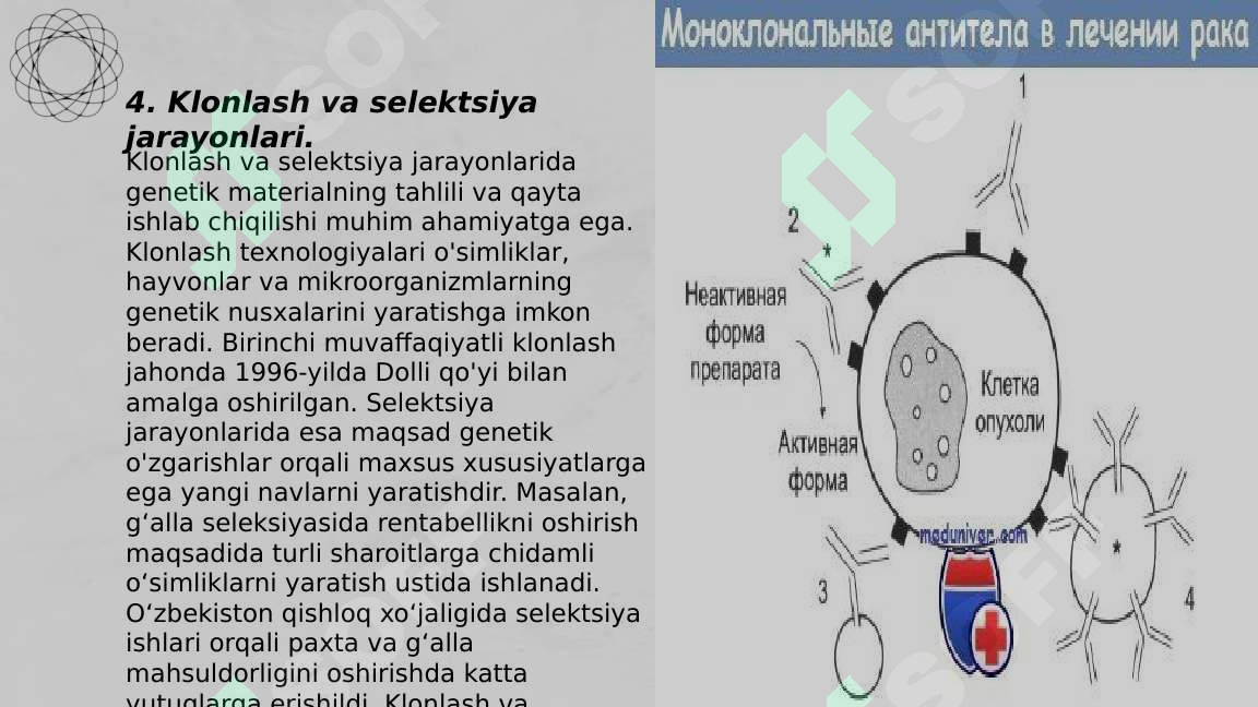 Product slide 6