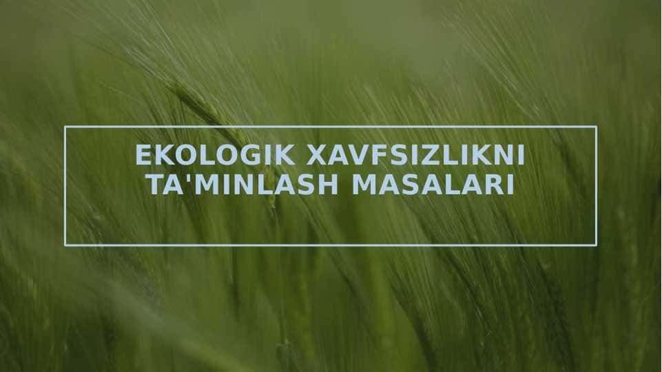 Ekologik xavfsizlikni ta'minlash masalari