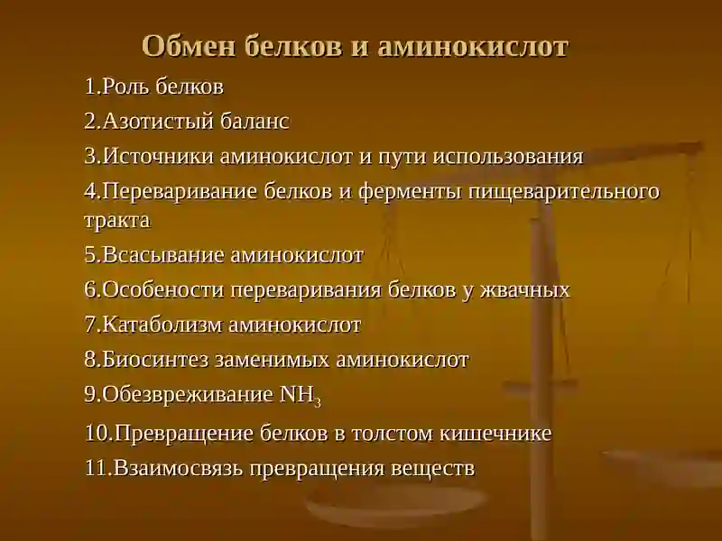 Обмен белков и аминокислот