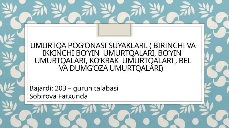 Product slide 1