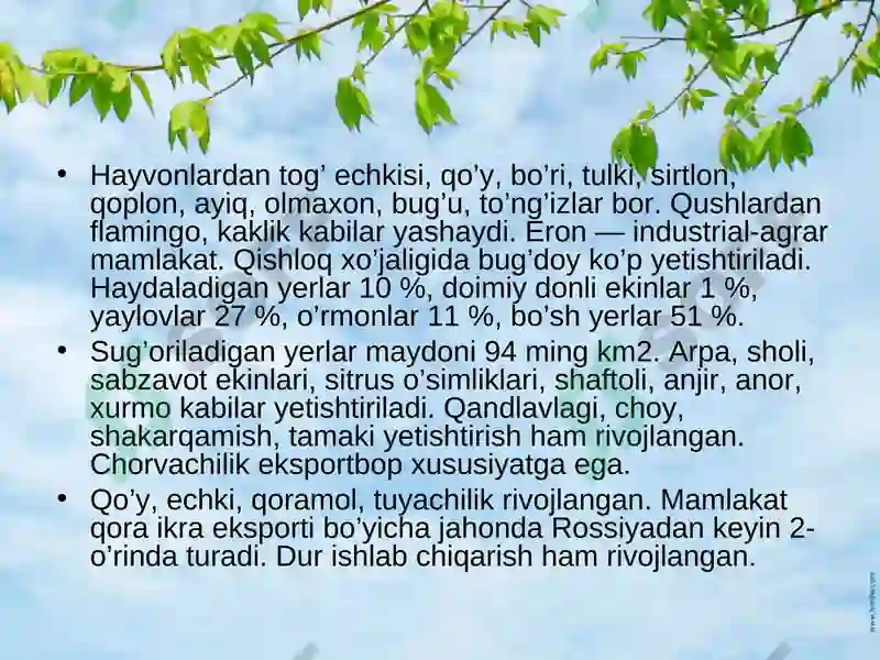 Product slide 6