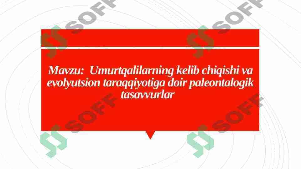 Umurtqalilarning kelib chiqishi va evolyutsion taraqqiyotiga doir paleontalogik tasavvurlar